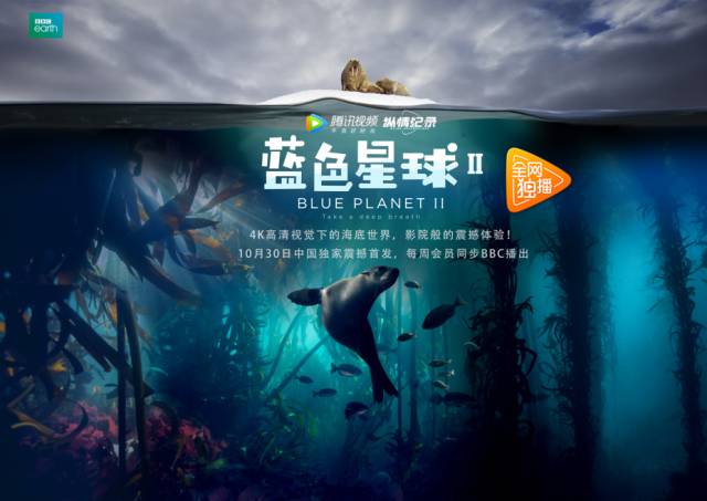 欧美无砖专区一中文字剧照3