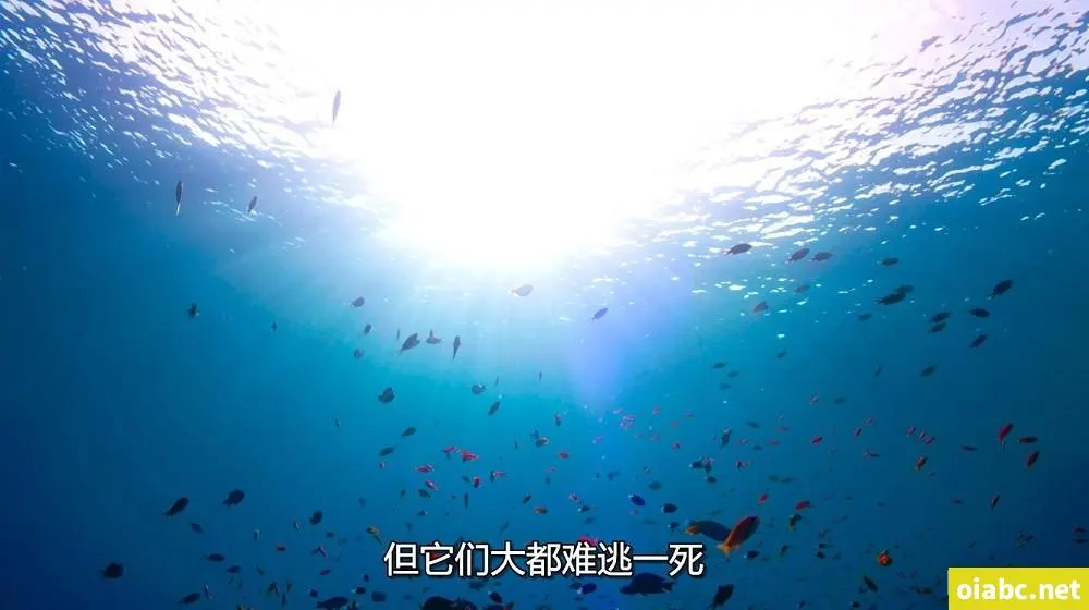 鬼父免费看剧照1